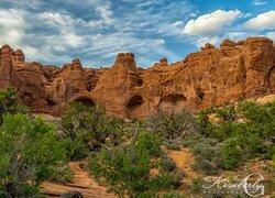 Góry, Skały, Krzewy, Park Narodowy Arches, Utah, Stany Zjednoczone