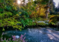 Krzewy nad stawem w ogrodzie Kubota Garden