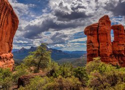 Stany Zjednoczone, Arizona, Sedona, Skały, Formacje skalne, Drzewa