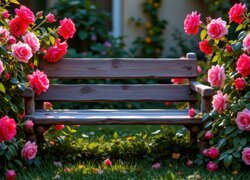 Krzewy różowych róż przy drewnianej ławce