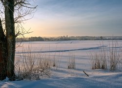 Zima, Drzewa, Krzewy, Pole, Śnieg, Ślady