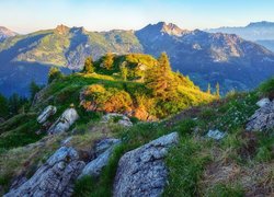 Góra Saukarkopf, Góry, Niskie Taury, Skały, Krzyż, Drzewa, Trawa, Austria