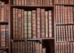 Książki na półkach w bibliotece