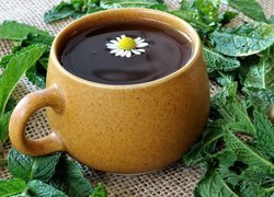 Kubek, Herbata, Napój, Yerba mate, Mate cocido, Liście, Kwiatek