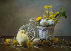 Kurczak obok rowerka z forsycją i pisankami