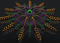 Kwiat ze sprężynek w grafice 3D