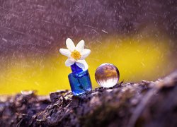 Kwiatek w niebieskiej buteleczce obok szklanej kuli