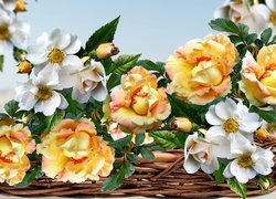Kwiatowa kompozycja z róż w koszyku