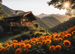 Kwiatowa łąka i domek na wzgórzu