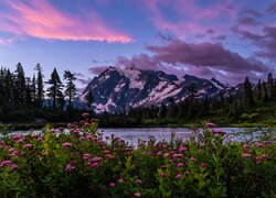 Kwiaty i drzewa nad rzeką i góry Mount Shuksan w tle