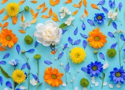 Kwiaty i płatki na niebieskim tle
