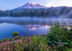 Park Narodowy Mount Rainier, Góry, Stratowulkan Mount Rainier, Drzewa, Świerki, Kwiaty, Jezioro, Odbicie, Mgła, Stan Waszyngton, Stany Zjednoczone