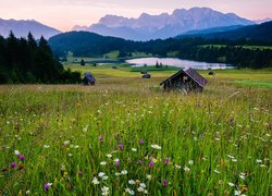 Polana, Łąka, Kwiaty, Szopy, Domki, Jezioro Geroldsee, Drzewa, Lasy, Góry, Alpy, Bawaria, Niemcy