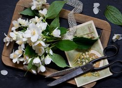 Kwiaty jaśminowca obok pocztówki i nożyczek