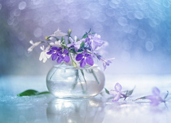 Kwiaty lobelii w szklanym wazoniku