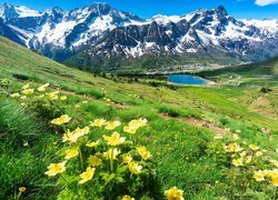 Kwiaty na łące i jezioro na tle ośnieżonych gór