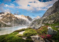 Góry, Chmury, Jezioro, Albigna Lake, Skały, Kwiaty, Rośliny, Szwajcaria
