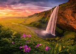 Skały, Wodospad Seljalandsfoss, Kwiaty, Roślinność, Zachód słońca, Chmury, Islandia
