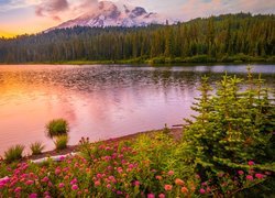 Park Narodowy Mount Rainier, Góra, Stratowulkan Mount Rainier, Jezioro, Drzewa, Kwiaty, Zachód słońca, Chmury, Stan Waszyngton, Stany Zjednoczone