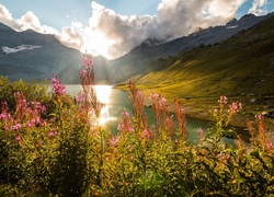 Szwajcaria, Wschód słońca, Góry Alpy, Kwiaty, Jezioro Lac de Salanfe