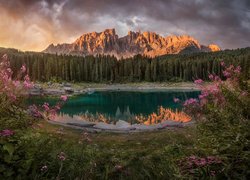 Kwiaty nad jeziorem Lago di Carezza i Alpy w oddali