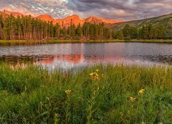 Stany Zjednoczone, Kolorado, Park Narodowy Gór Skalistych, Jezioro, Spraque Lake, Góry, Drzewa, Łąka, Kwiaty