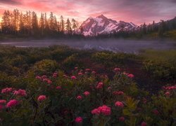 Góry, Góra, Mount Shuksan, Drzewa, Mgła, Jezioro, Picture Lake, Odbicie, Park Narodowy Północnych Gór Kaskadowych, Stan Waszyngton, Stany Zjednoczone