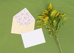 Kwiaty nawłoci obok koperty i kartki