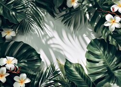 Plumeria, Kwiaty, Liście, Monstera, Światło, Cień, Grafika