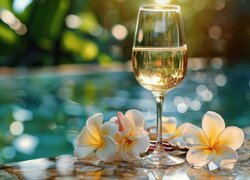 Kompozycja, Kieliszek, Wino, Kwiaty, Plumeria