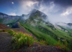 Góry, Aibga Ridge, Kaukaz, Chmury, Droga, Kwiaty, Zbocze, Kraj Krasnodarski, Rosja