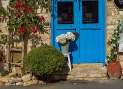 Kwiaty przy niebieskich drzwiach domu