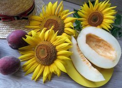 Kwiaty słonecznika obok przekrojonego melona i śliwek