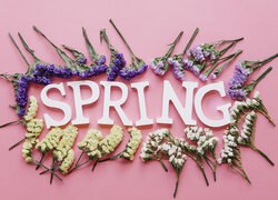 Kwiaty wokół napisu Spring na różowym tle