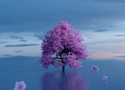 Kwitnące drzewo w wodzie