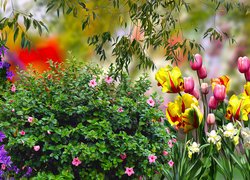 Kwitnący krzew pośród tulipanów i narcyzów w grafice