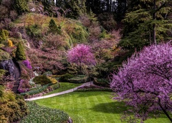 Kwitnący wiosennie ogród Butchart w kanadyjskim Vancouver