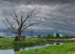 Zachmurzone, Niebo, Cerkiew, Kościół, Łąka, Drzewo, Staw, Łabędzie, Mostek