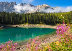 Jezioro Karersee, Lago di Carezza, Las, Drzewa, Roślinność, Kwiaty, Tyrol, Włochy