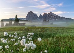 Łąka i drewniane domki w zamglonej dolinie Val Gardena