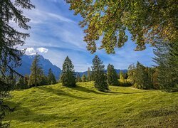 Drzewa, Łąka, Trawa, Góry