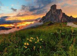 Góry, Góra Ra Gusela, Zachód słońca, Mgła, Łąka, Kwiaty, Włochy