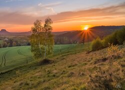 Łąka i pola w blasku zachodzącego słońca i góra Lilienstein w tle