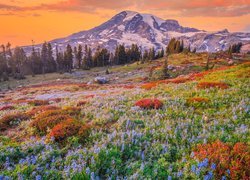 Łąka i stratowulkan Mount Rainier pod pomarańczowym niebem