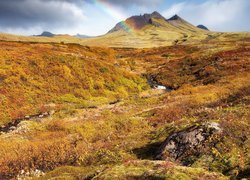 Islandia, Wzgórza, Góra, Jesień, Tęcza, Roślinność, Potok