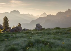 Łąka i zamglone Dolomity