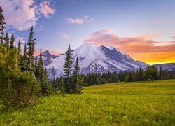 Park Narodowy Mount Rainier, Drzewa, Łąka, Chmury, Góra, Szczyt Mount Rainier, Stan Waszyngton, Stany Zjednoczone