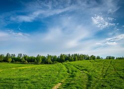 Łąka pod błękitnym niebem