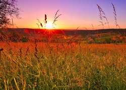 Łąka w dolinie otulona promieniami wschodzącego słońca