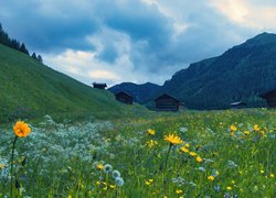 Góry, Kwiaty, Łąka, Domy, Pfundser Tschey, Pfunds, Tyrol, Austria